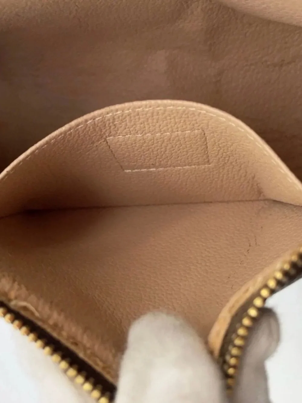 Louis Vuitton brand louis
